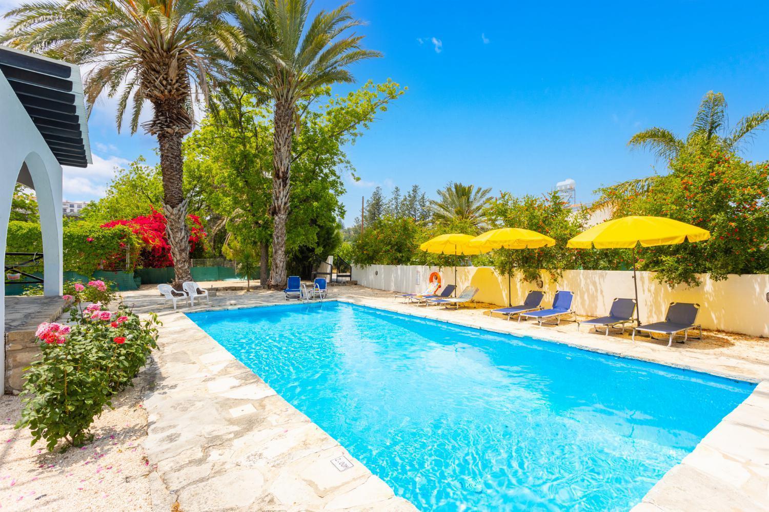 Villa Anemone Polis Buitenkant foto