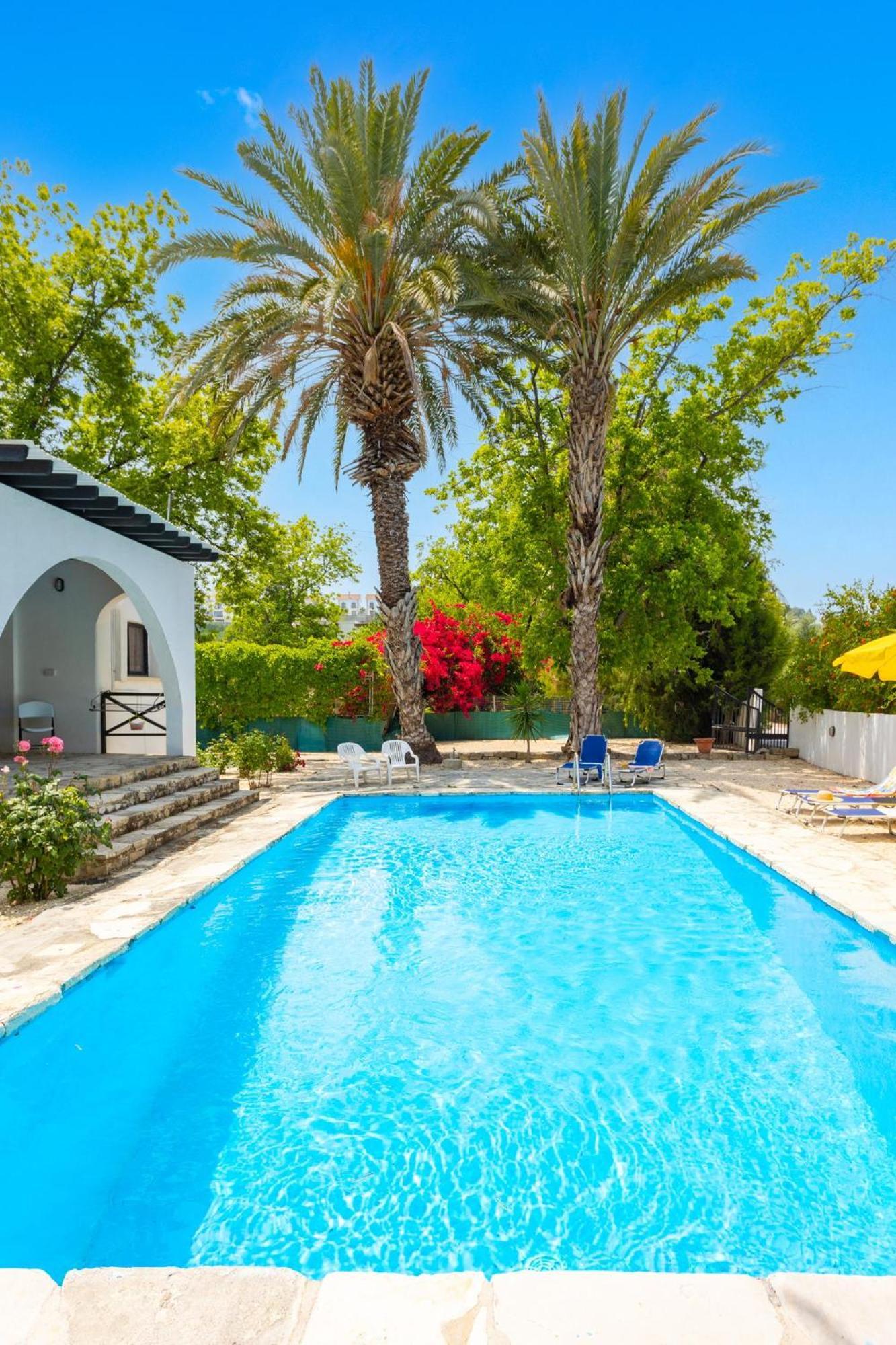 Villa Anemone Polis Buitenkant foto